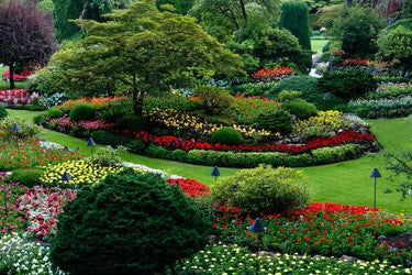 Landscaping Ideas For Above-Ground Trampolines